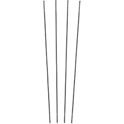 Campagnolo® Zonda C17 Ersatzspeichen Ab Modell 2016