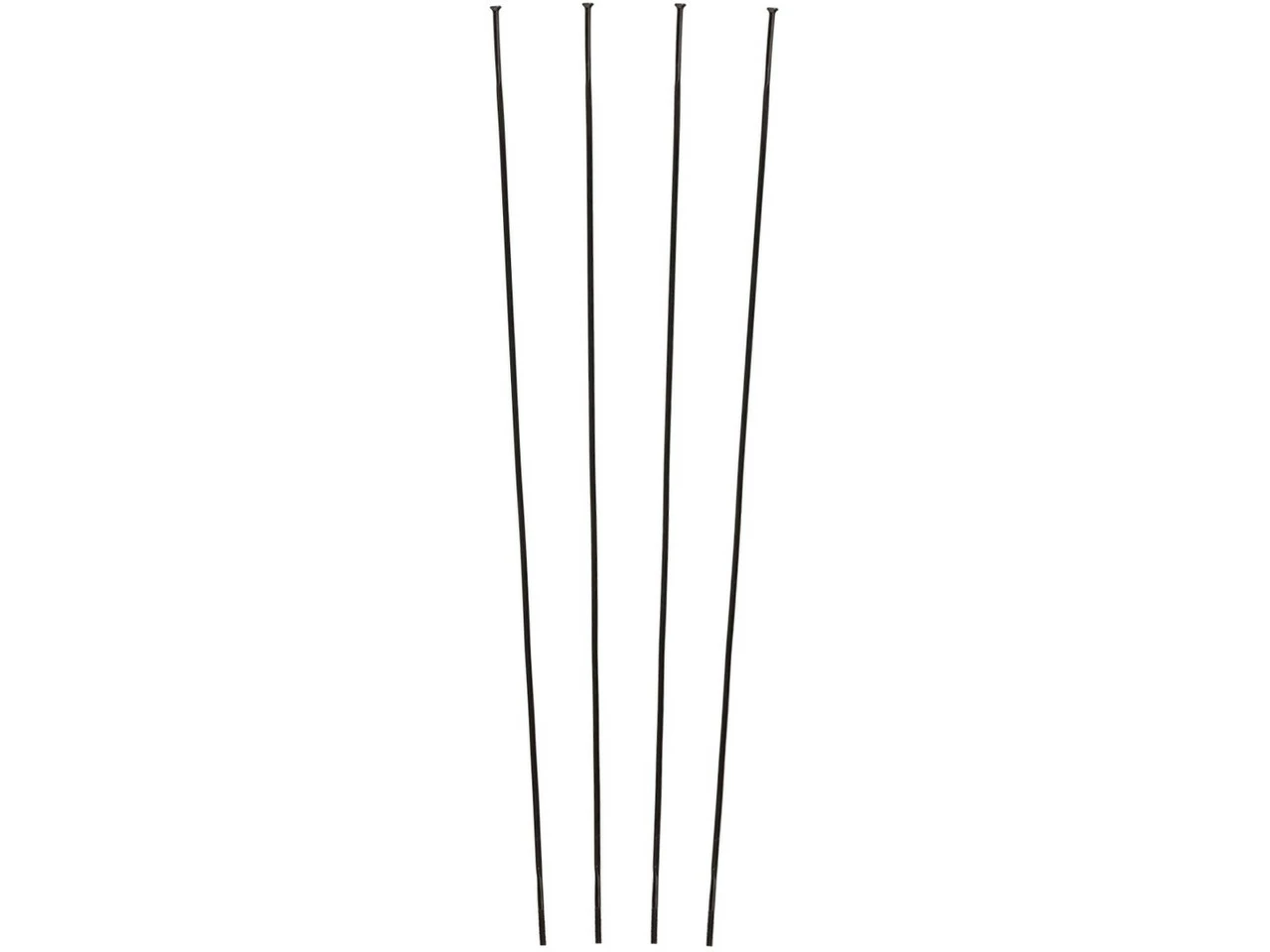 Campagnolo® Zonda C17 Ersatzspeichen Ab Modell 2016 3 Campagnolo® Zonda C17 Ersatzspeichen Ab Modell 2016