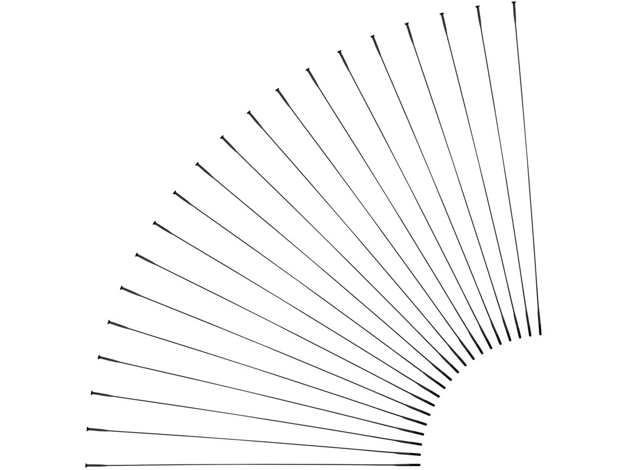 Sapim CX-Ray Straightpull Speichen + Nippel - 20 Stück 3 Sapim CX-Ray Straightpull Speichen + Nippel - 20 Stück