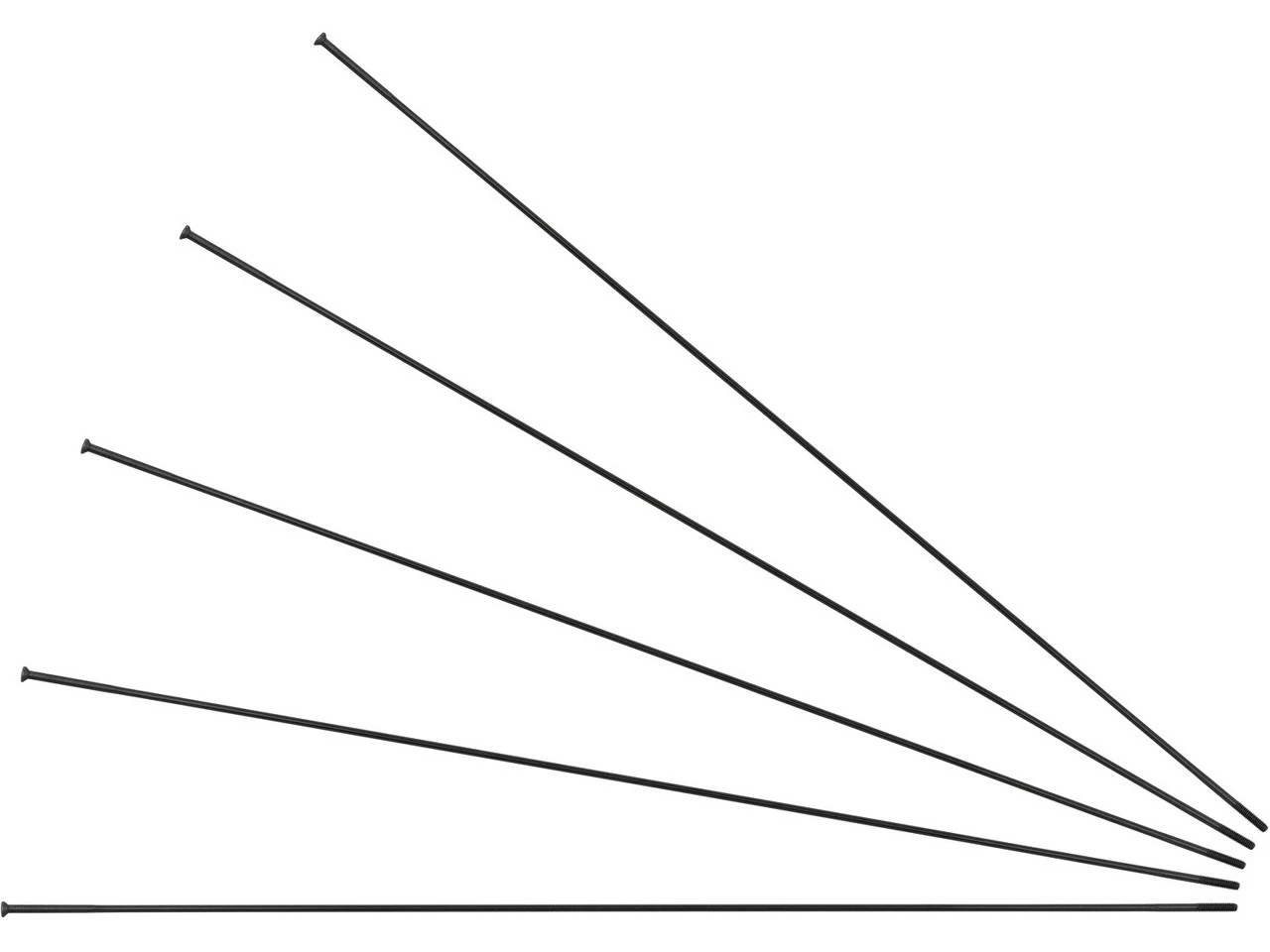 Sapim Race Straightpull Speichen + Nippel - 5 Stück 3 Sapim Race Straightpull Speichen + Nippel - 5 Stück