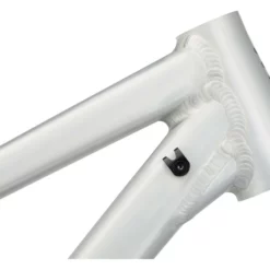 RAAW Mountain Bikes Madonna V2.2 29" Rahmenkit -Fahrräder Verkäufe 409081