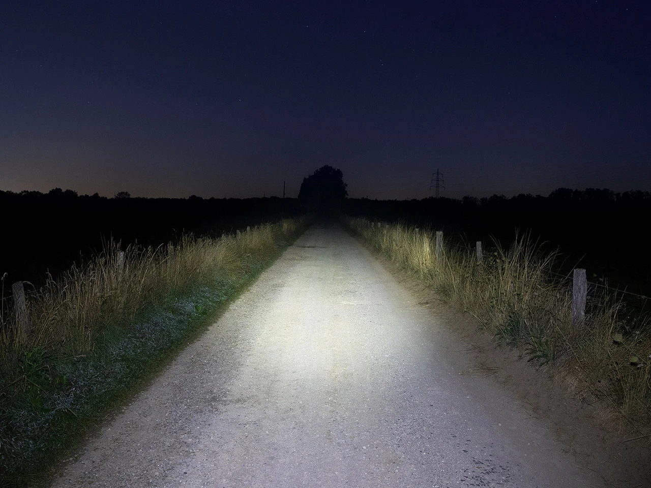 Lupine Neo Lampenkopf 11 Lupine Neo Lampenkopf - Image 9